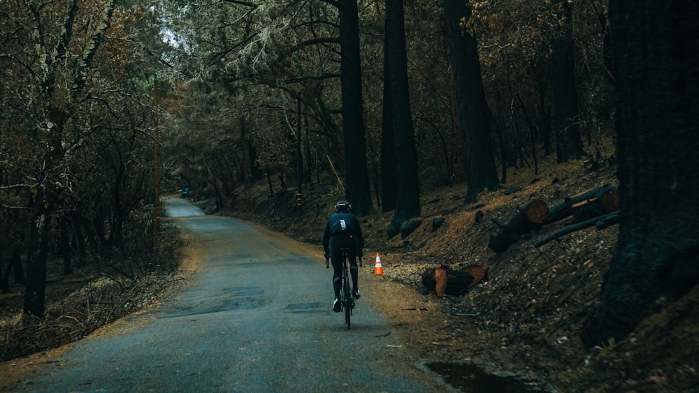 man cycling on road between trees at daytime