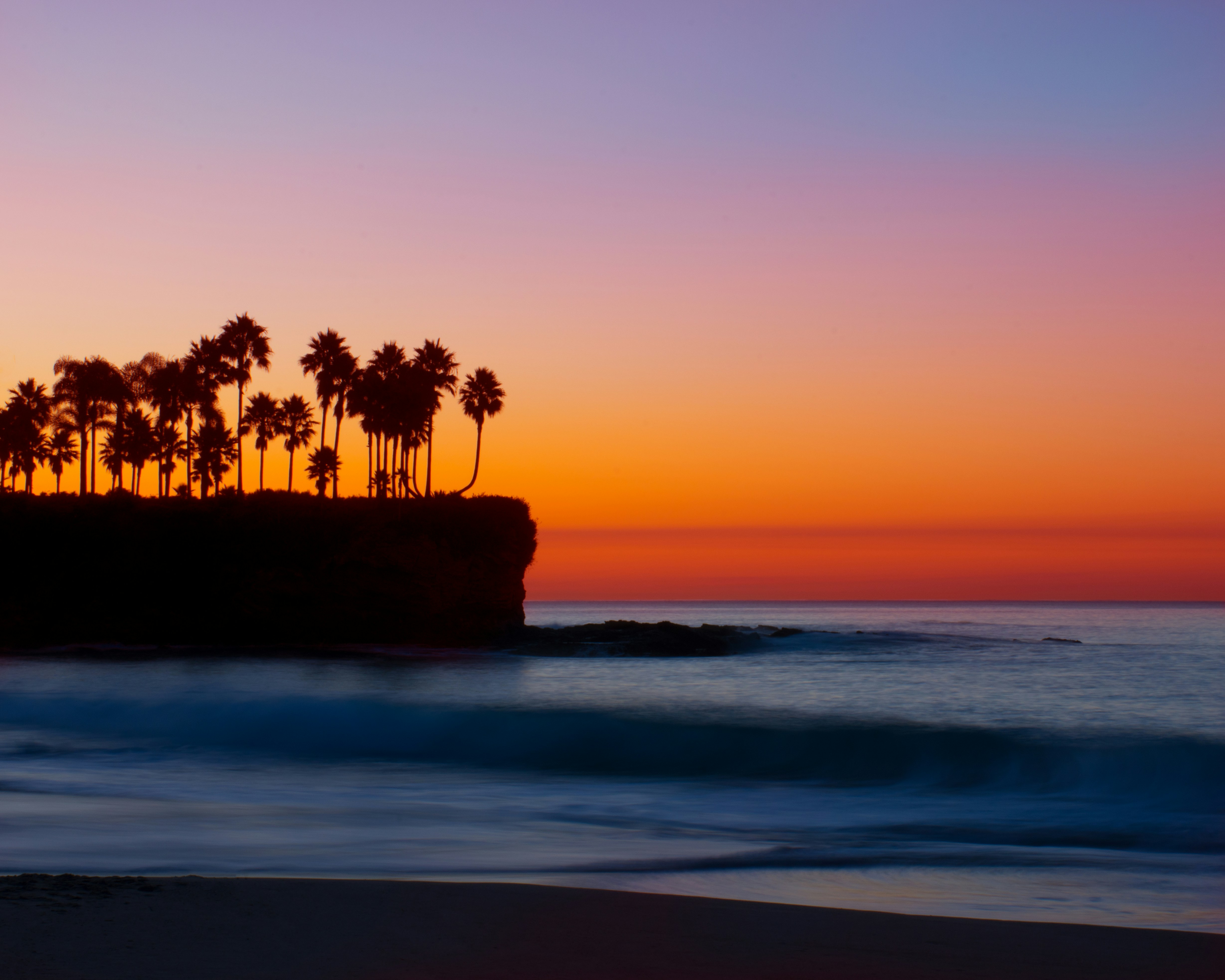 silhouette photograph of palm trees on island