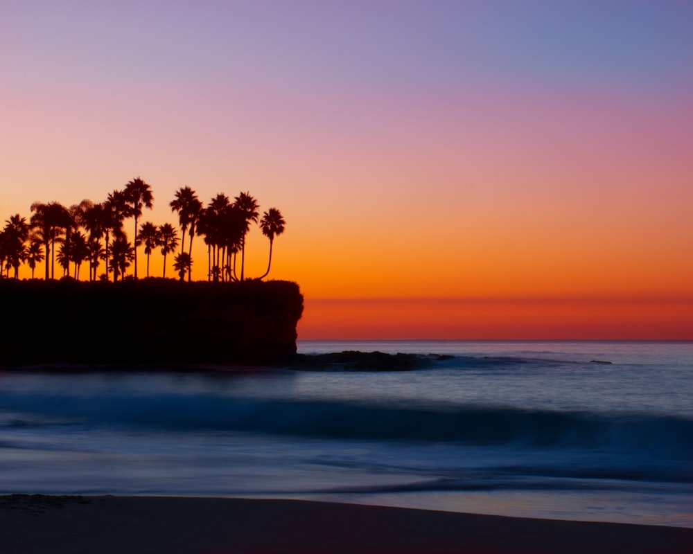 silhouette photograph of palm trees on island