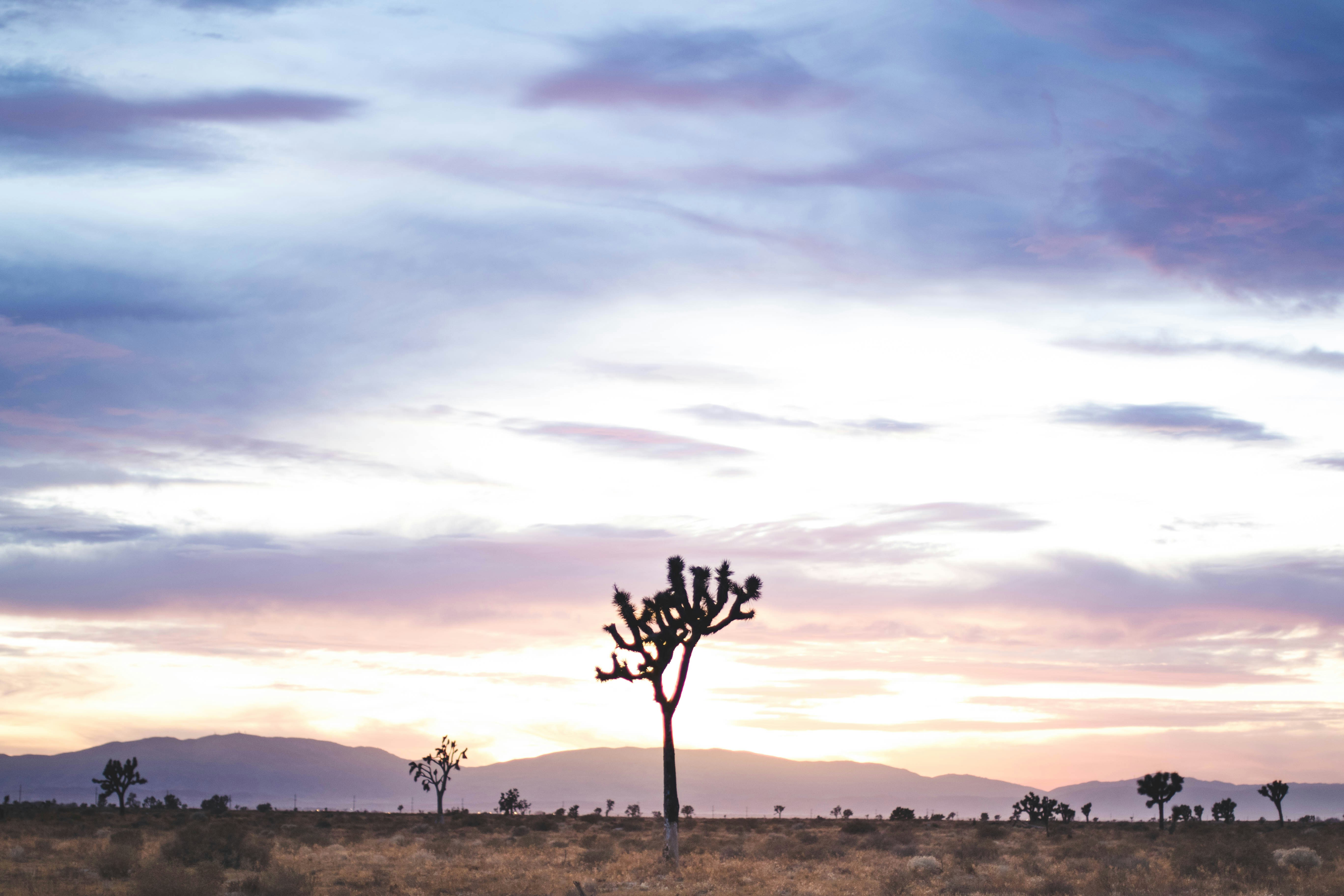 Photo by jeremybishop