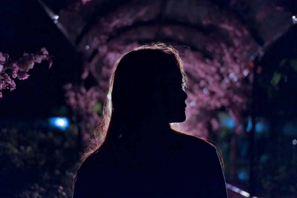 silhouette photography of woman