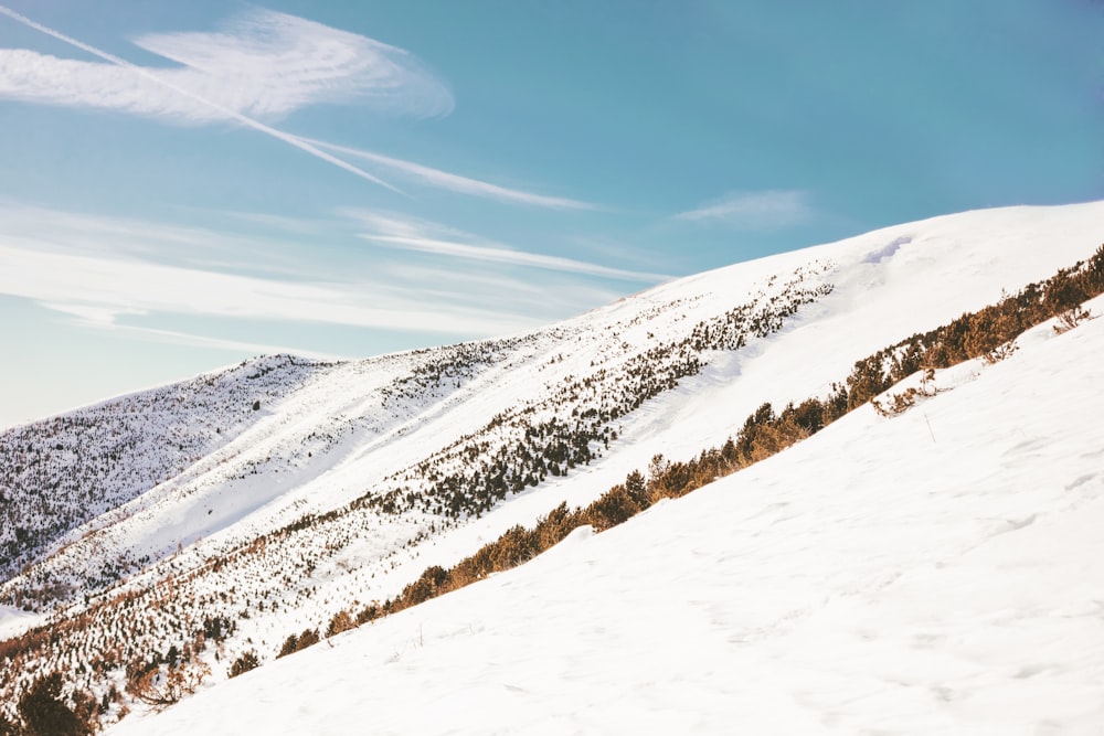 landscape photography of snowy mountain