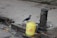 A crow is perched on a yellow plastic water container connected to a rusty public water tap by a plastic pipe, set on a pavement with some litter and puddles around.
