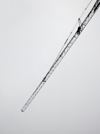 worms eye view of crane