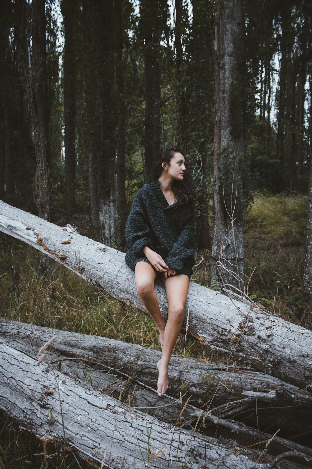 Forest photo spot Waimakariri Hanmer Springs