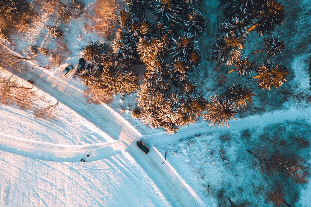 Vista aérea del bosque cubierto de nieve y la carretera