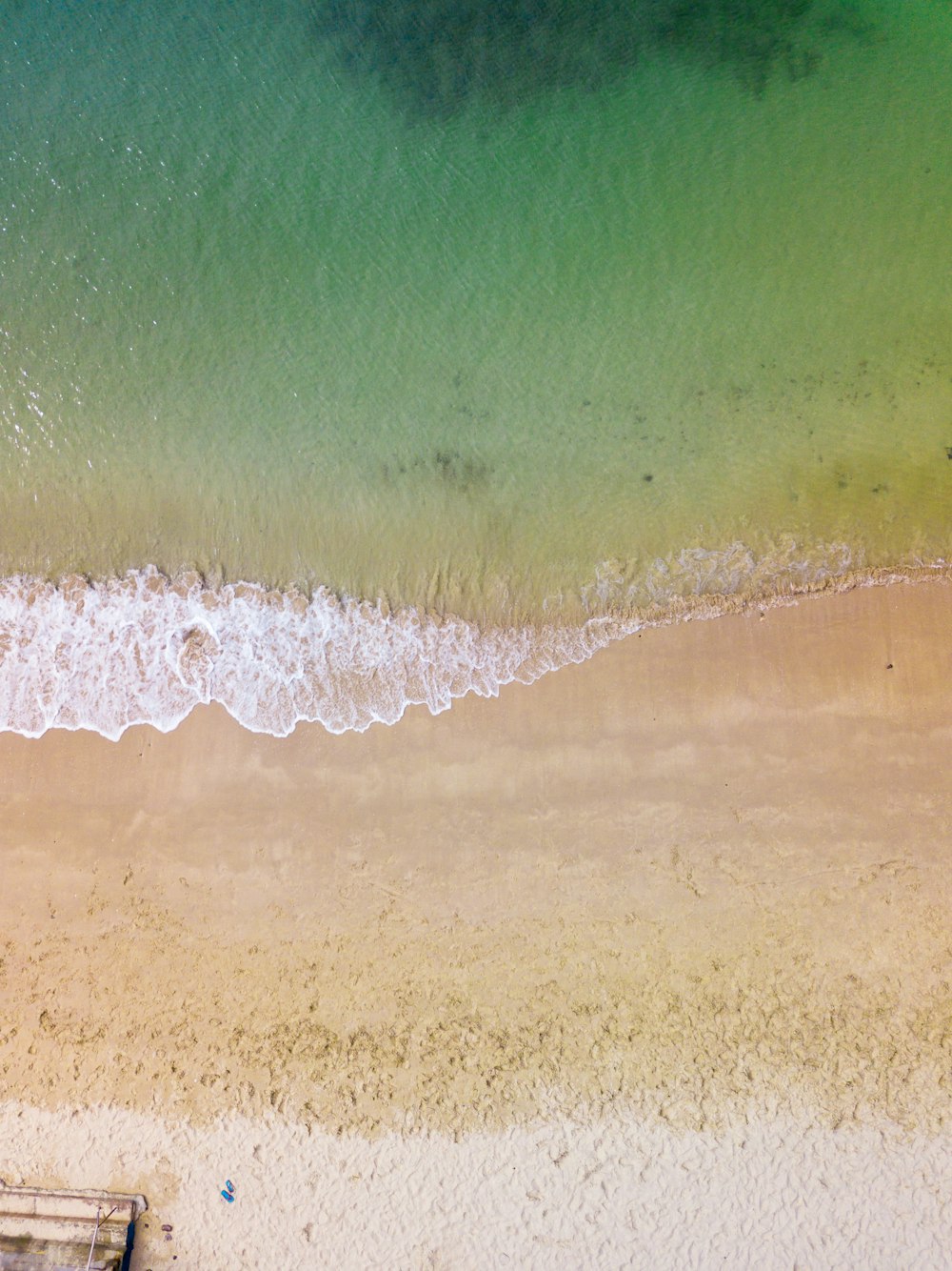 bird's-eye view of beach