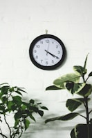 A wooden wall clock with natural grain mounted on a white wall beside a small indoor plant.