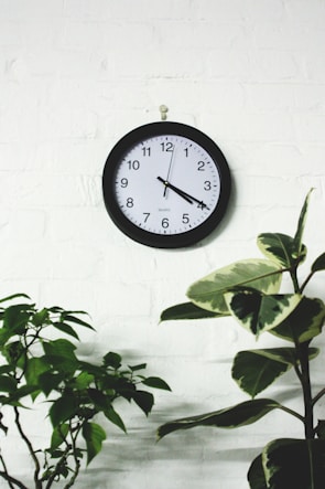 A wooden wall clock with natural grain mounted on a white wall beside a small indoor plant.