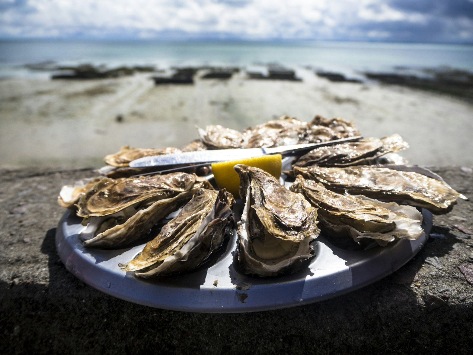 Gulf Oysters Are Dying, Putting a Southern Tradition at Risk