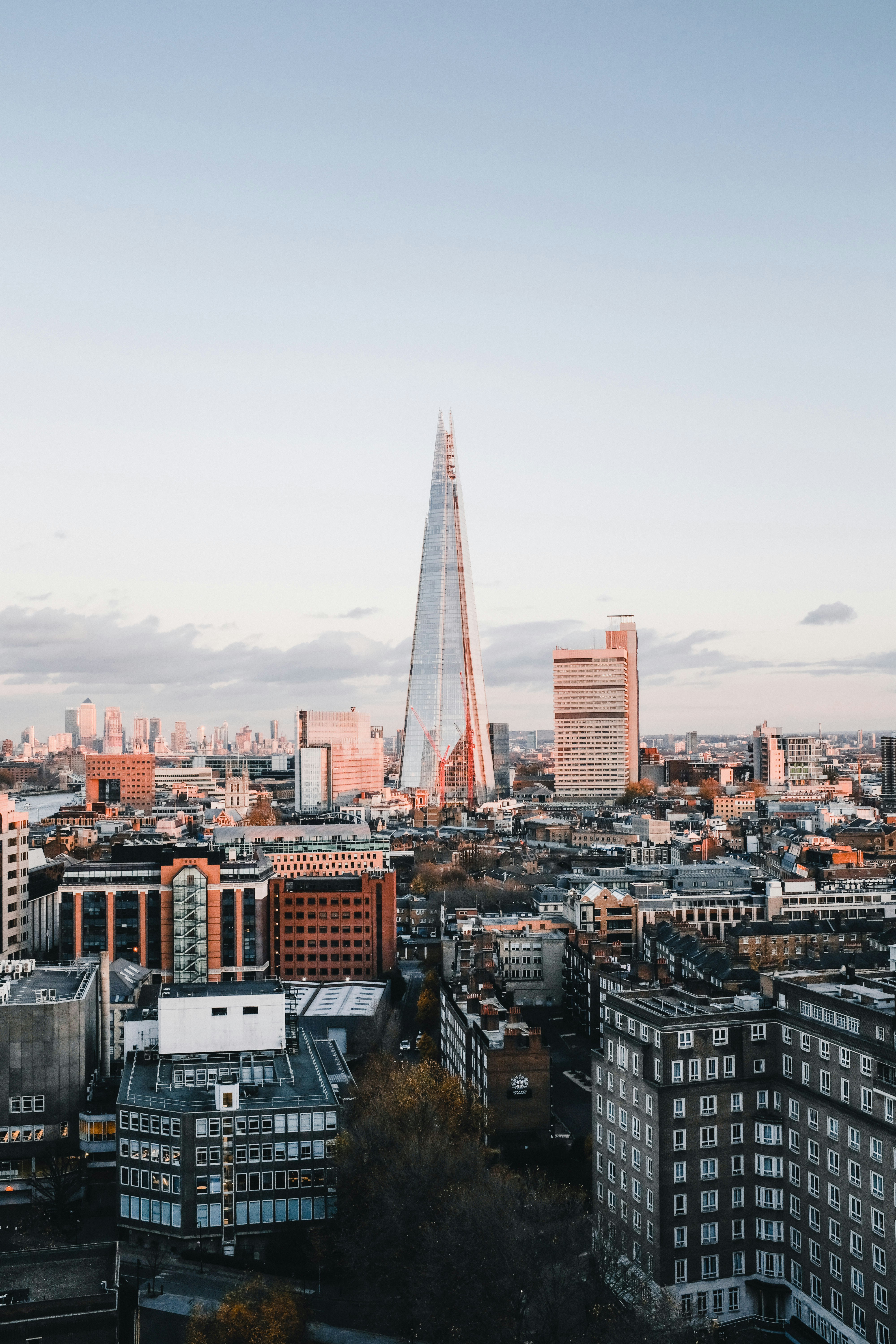 Experience the Joy of Fruit Picking in London