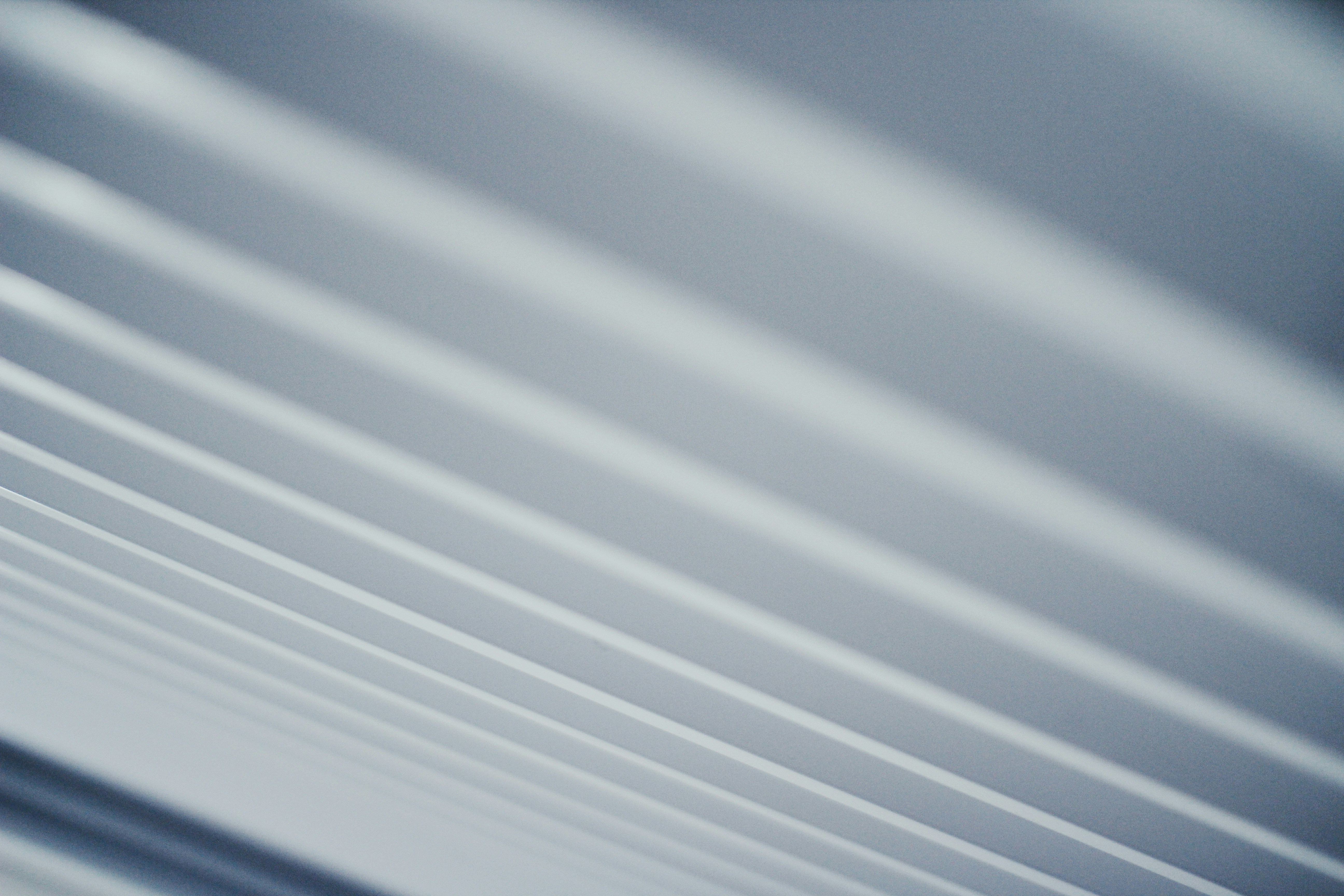 Leafs Training Camp Day 1 Groups and Lines