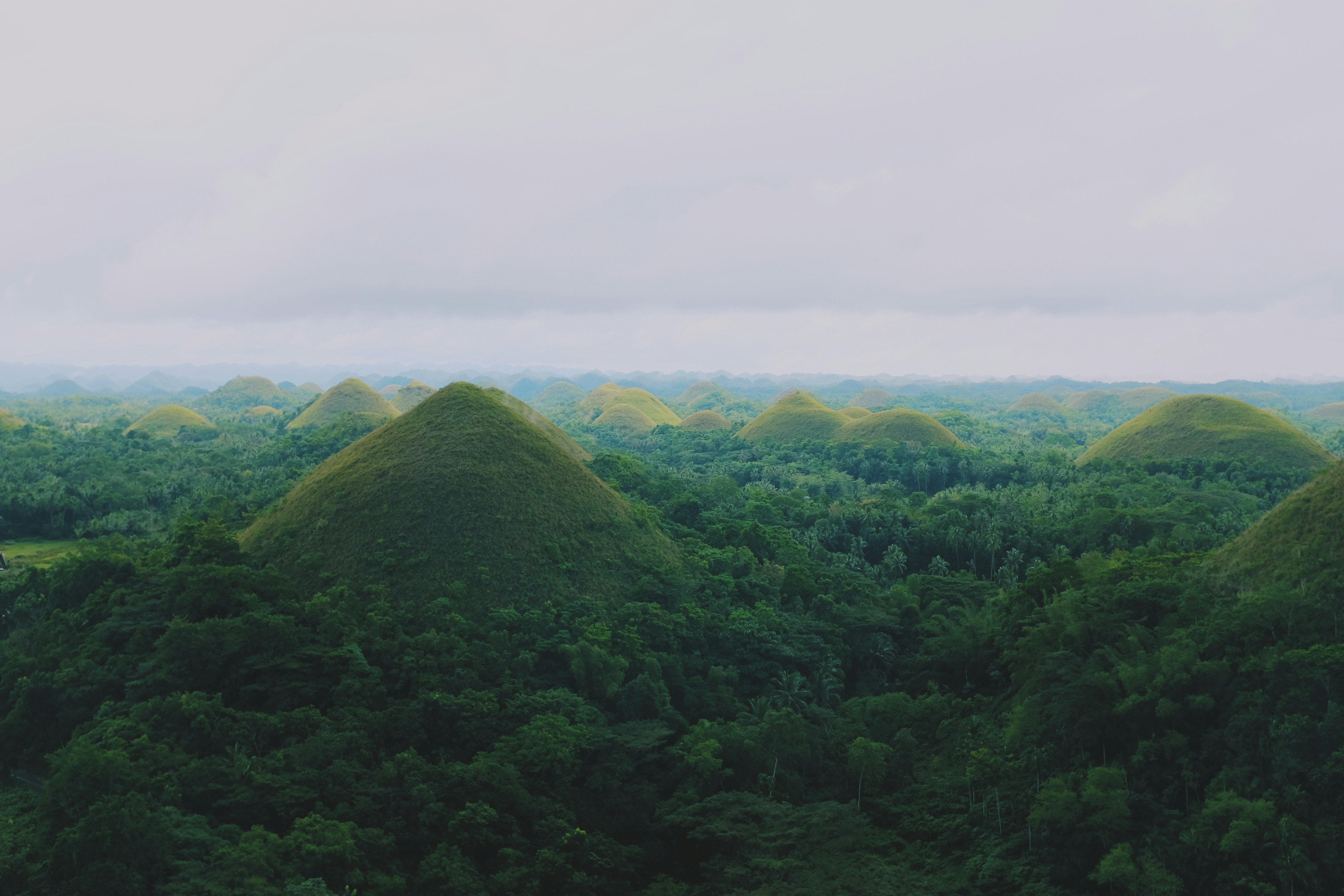 Chocolate Hills