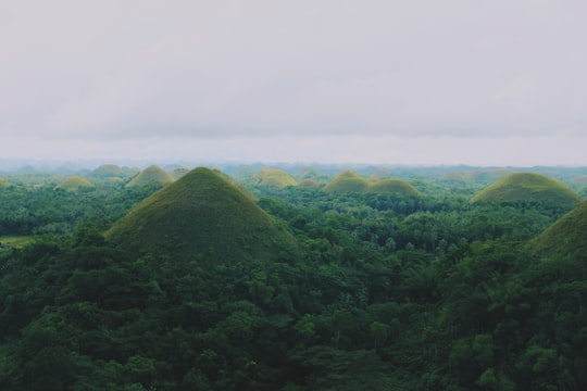 Chocolate Hills things to do in Bohol