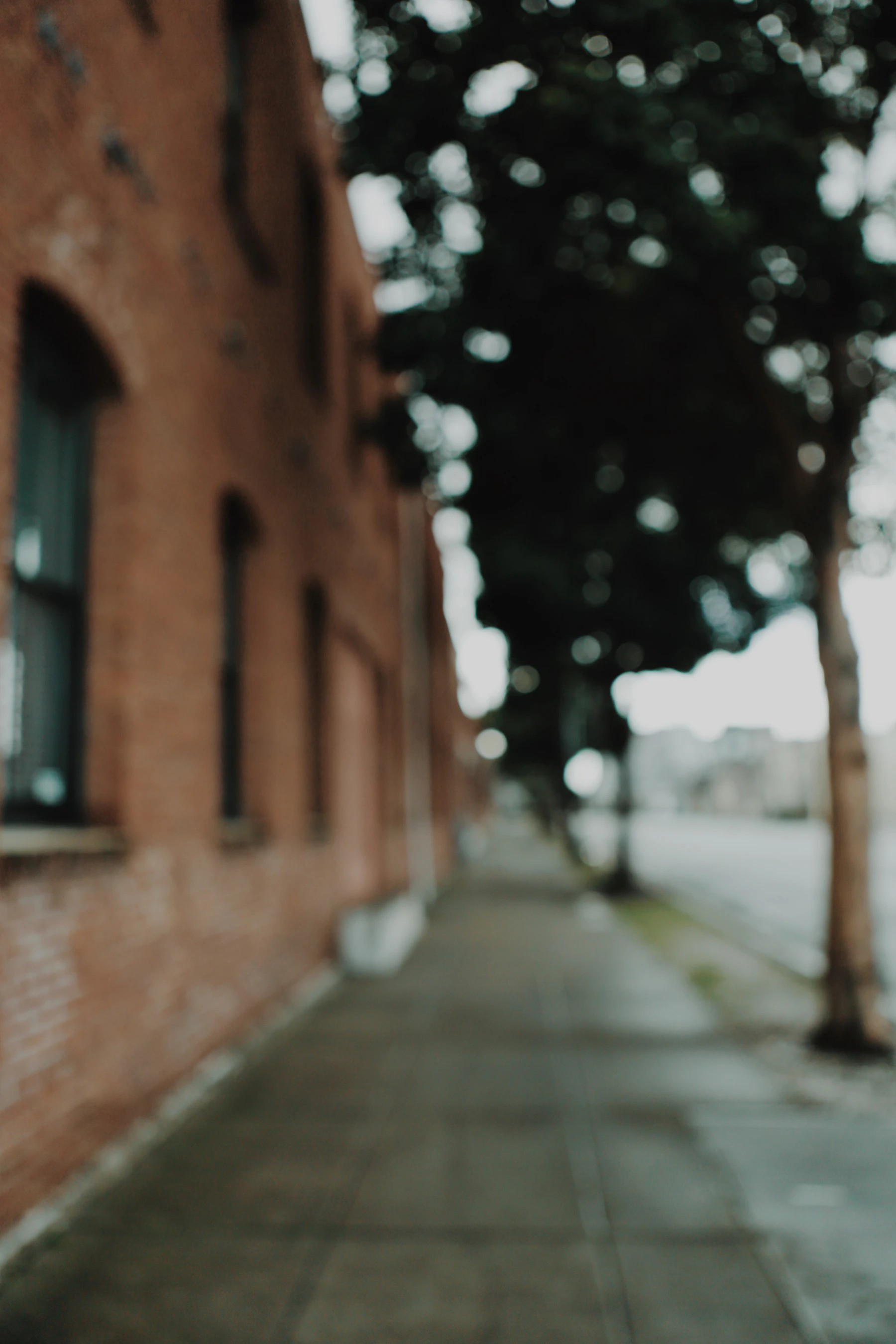 A quiet tree-lined city sidewalk