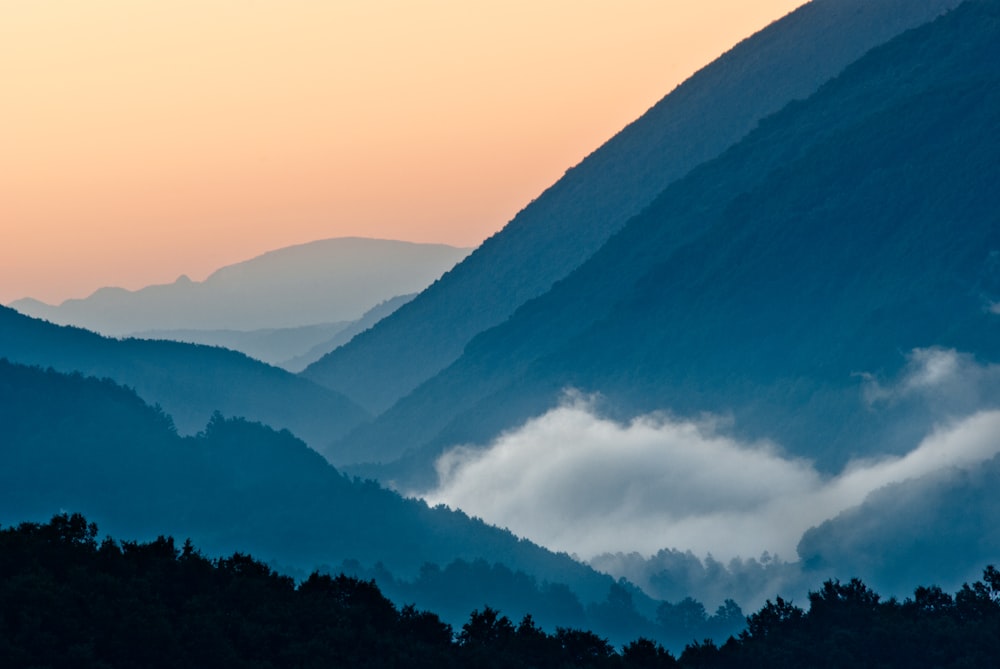 montagne entourée de brouillards et d’arbres