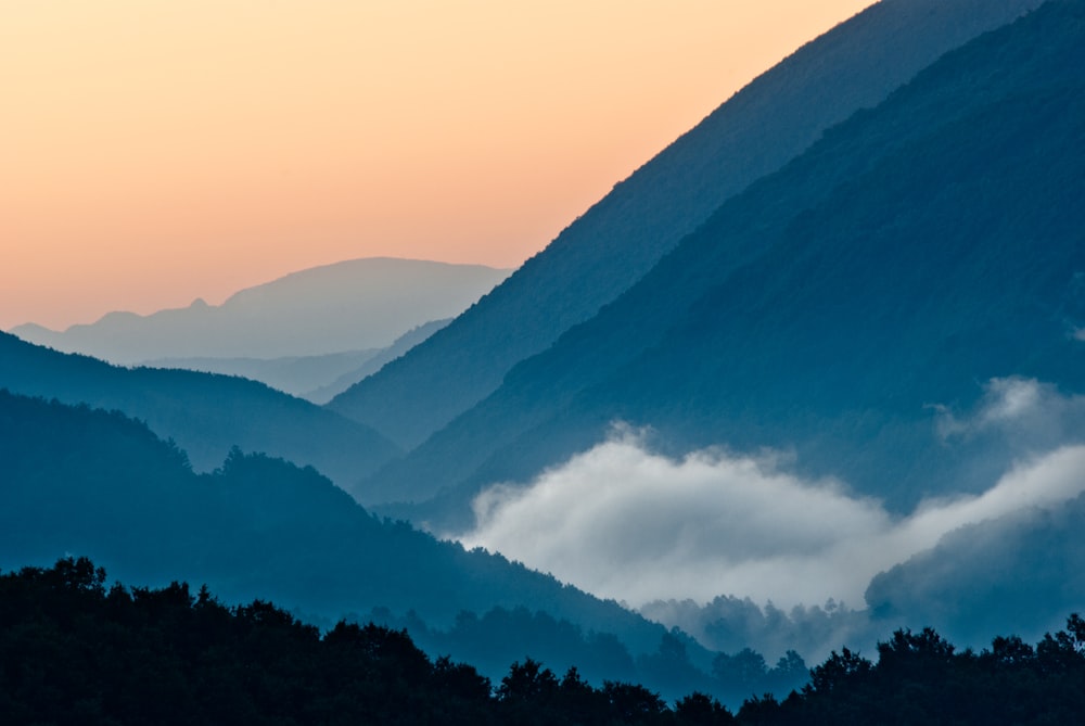 mountain surrounded by fogs and trees