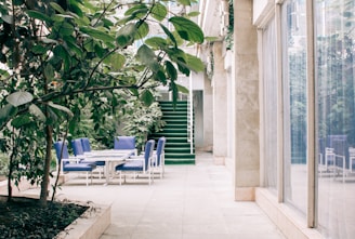 A tranquil waiting area featuring plush chairs and soothing greenery.