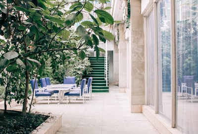 A calming waiting area featuring comfortable seating and leafy green plants.