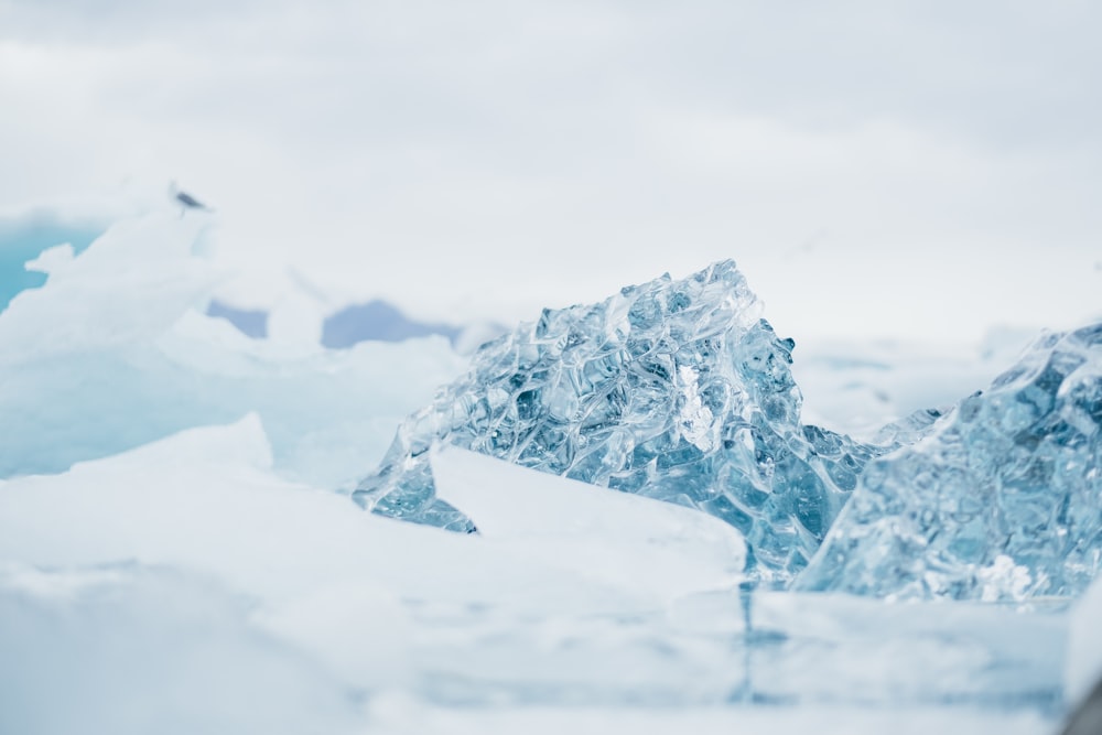 shallow focus photography of snow-covered rocks