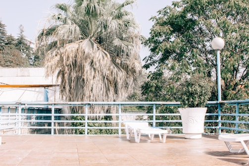 A spacious outdoor terrace features a large palm tree and lush greenery in the background. There is a white lounge chair and a large decorative pot with plants on the tiled floor. Blue railings line the edge of the terrace, and a spherical street lamp stands nearby.