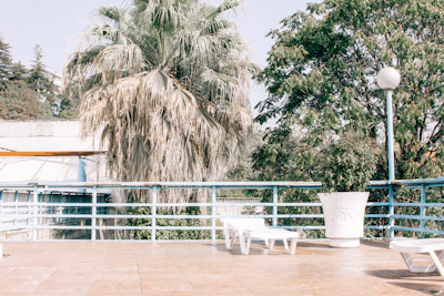 Private terrace with lounge seating and greenery