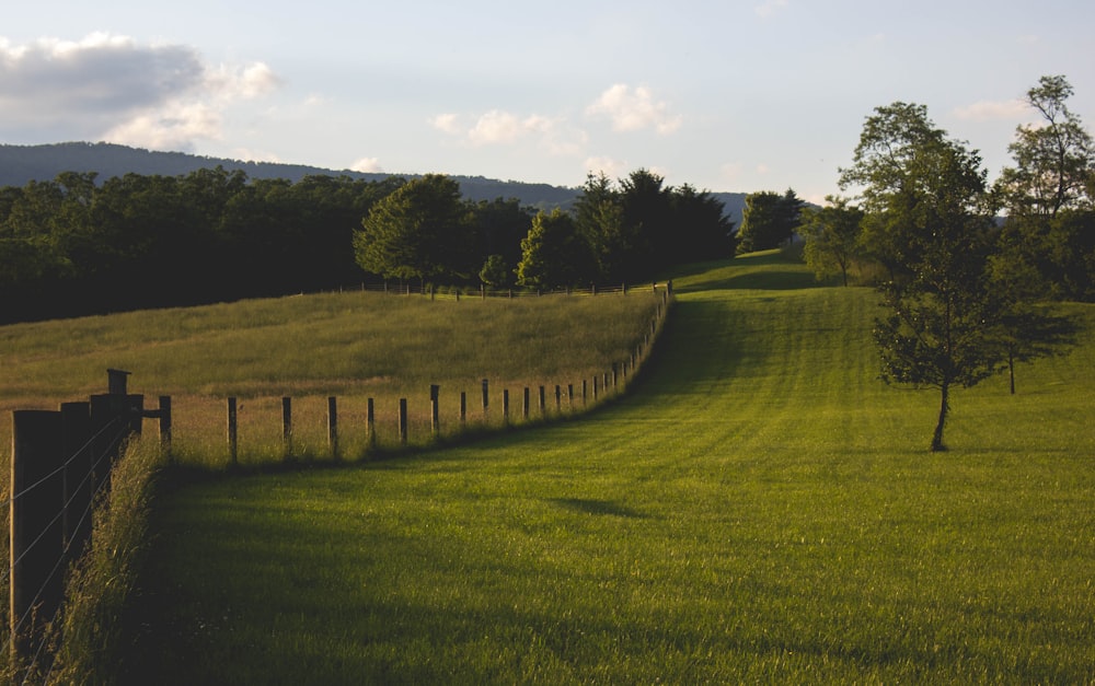 photographie de paysage de champ vert avec clôture