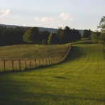 landscape photography of green field with fence