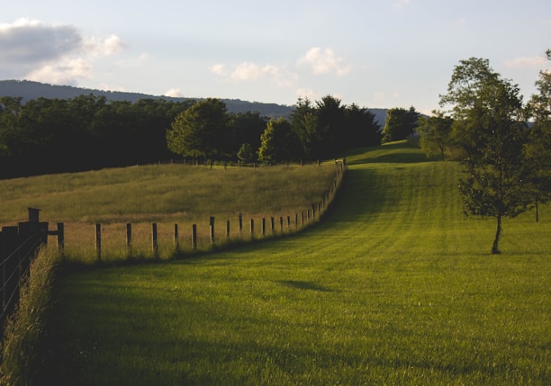 landscape photography of green field with fence