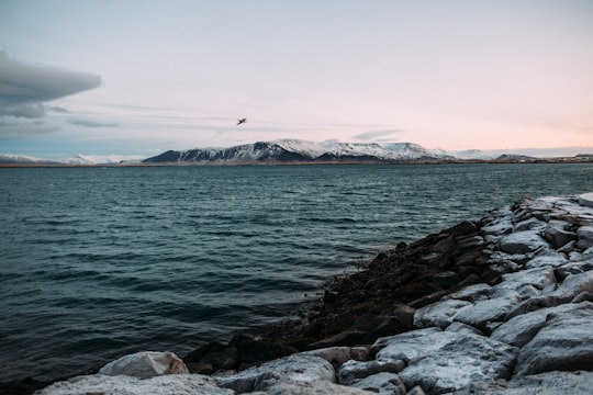 rock formations beside body of water in Höfði Iceland