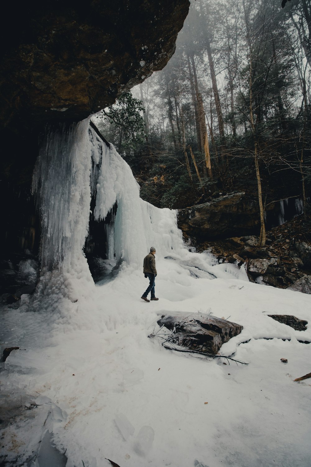 man walking near cave opening in middle of forest