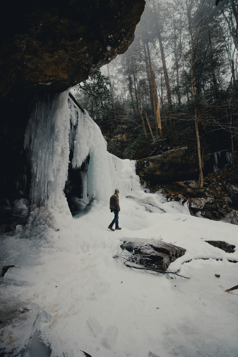 homme marchant près de l’ouverture d’une grotte au milieu de la forêt