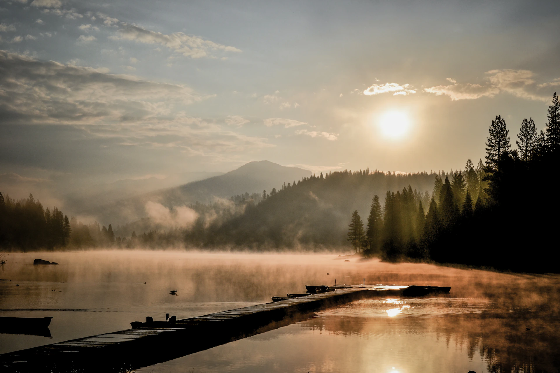 A serene sunrise casting golden light over a misty mountain lake, with pine trees reflecting on the water's surface.