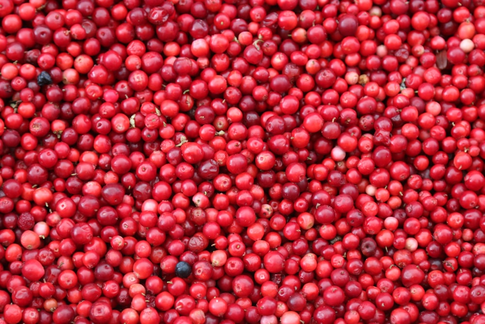 Cerises jamaïcaines