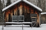 brown wooden house covered by snow