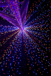 purple and red string lights