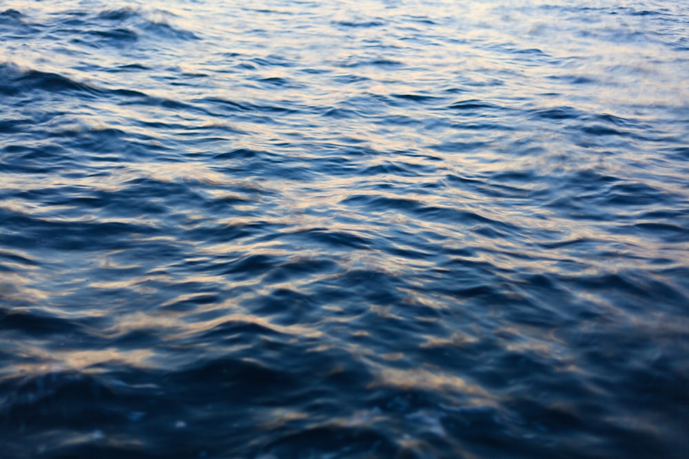 time lapse photography of body of water