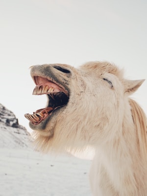 25 of the best blonde jokes to make you laugh out loud 