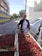A person standing next to a cart filled with fresh strawberries, positioned outdoors near a construction site with a building under renovation. The cart has several crates stacked with strawberries, and a car is parked nearby. A bright blue and yellow tarp covers part of the building, and trees can be seen in the background with a clear sky overhead.