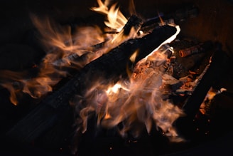 A close-up view of a campfire with glowing embers and flickering flames engulfing charred logs. The flames dance around the wood, casting a warm light and creating a dynamic, lively scene.