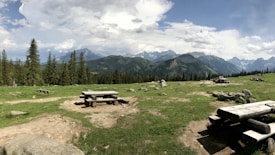 A scenic mountain landscape featuring a wide expanse of green grass interspersed with several wooden picnic tables and benches. Tall pine trees line the background, with a majestic range of mountains under a sky filled with both clouds and patches of clear blue.