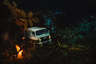 The Nomad Soul couple standing beside their custom microbus motorhome in a lush green forest clearing.