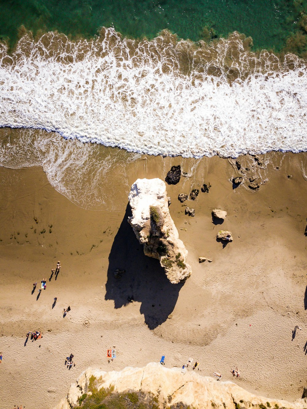 people on seashore during daytime