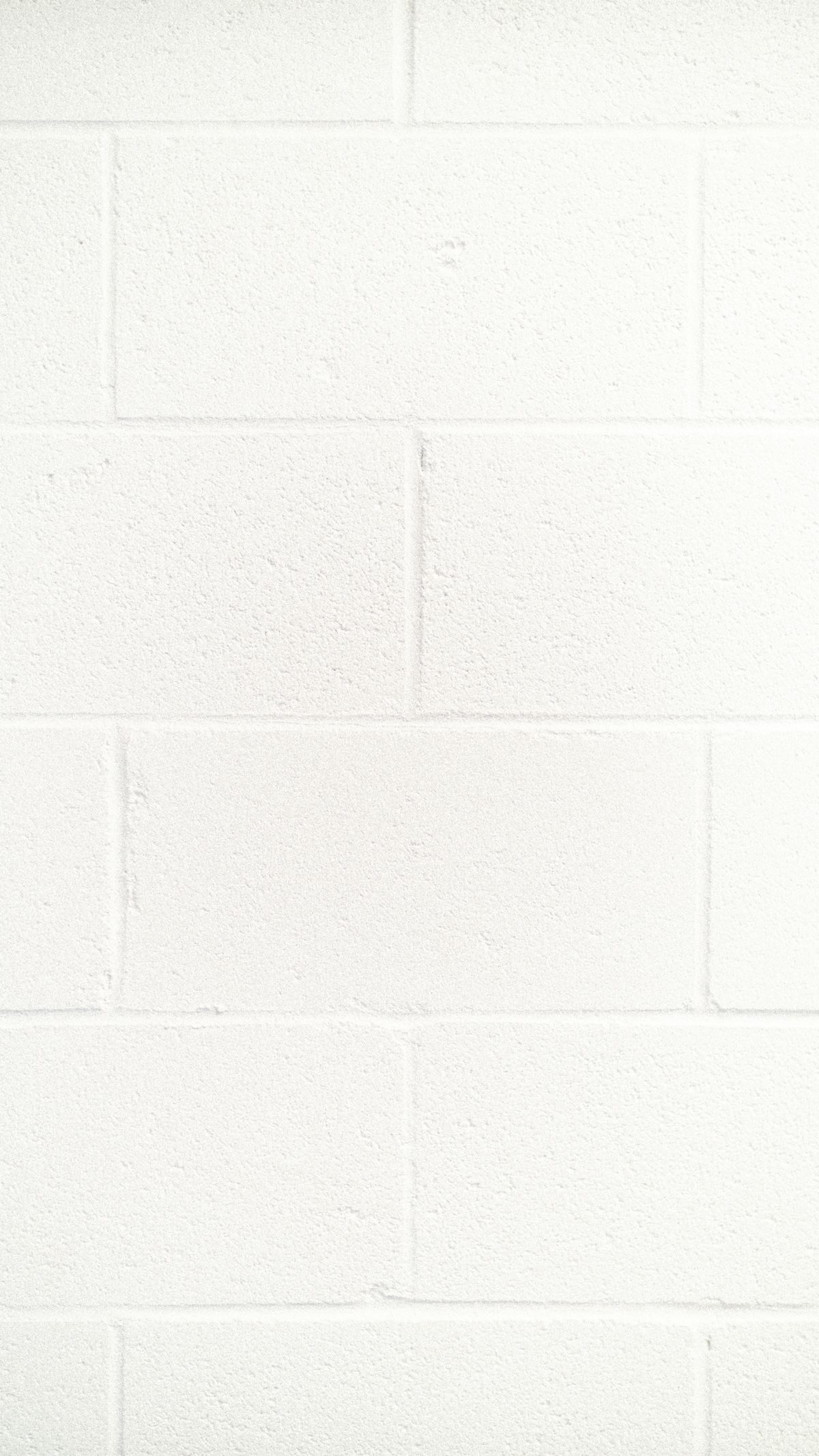 Assorted berries rich in polyphenols