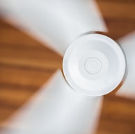 white ceiling fan