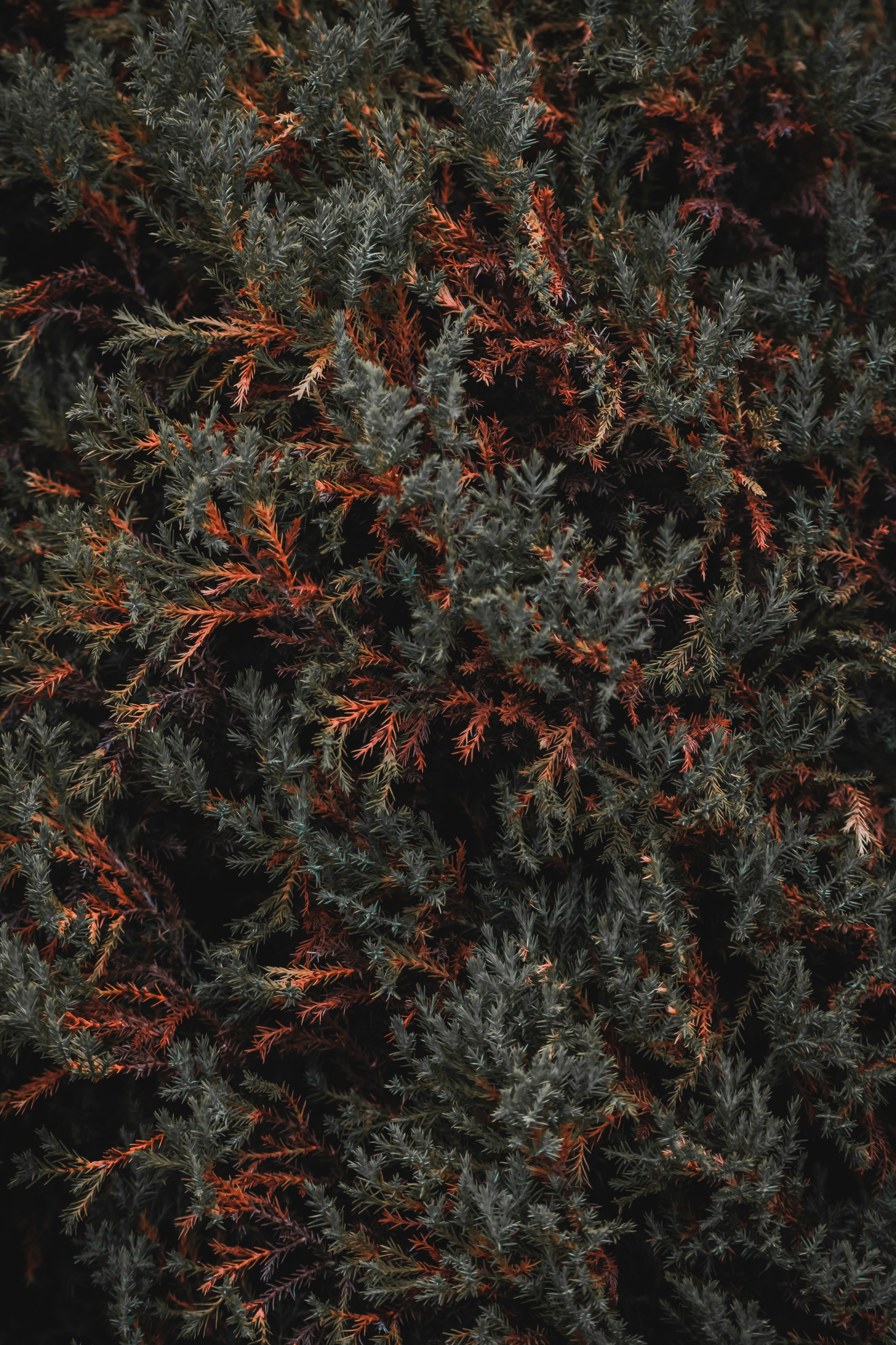 Photo by j_harris_391