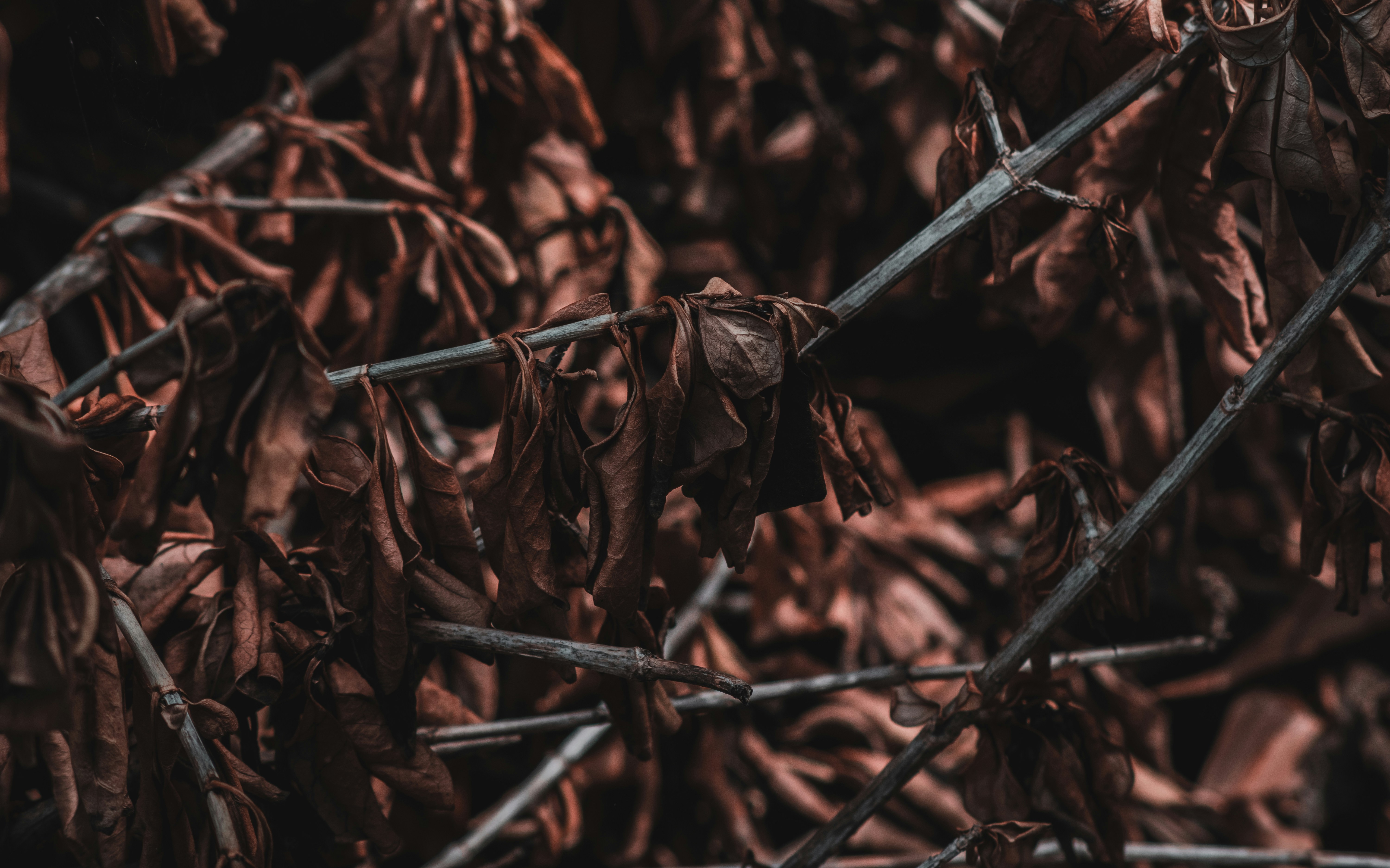 Photo by j_harris_391