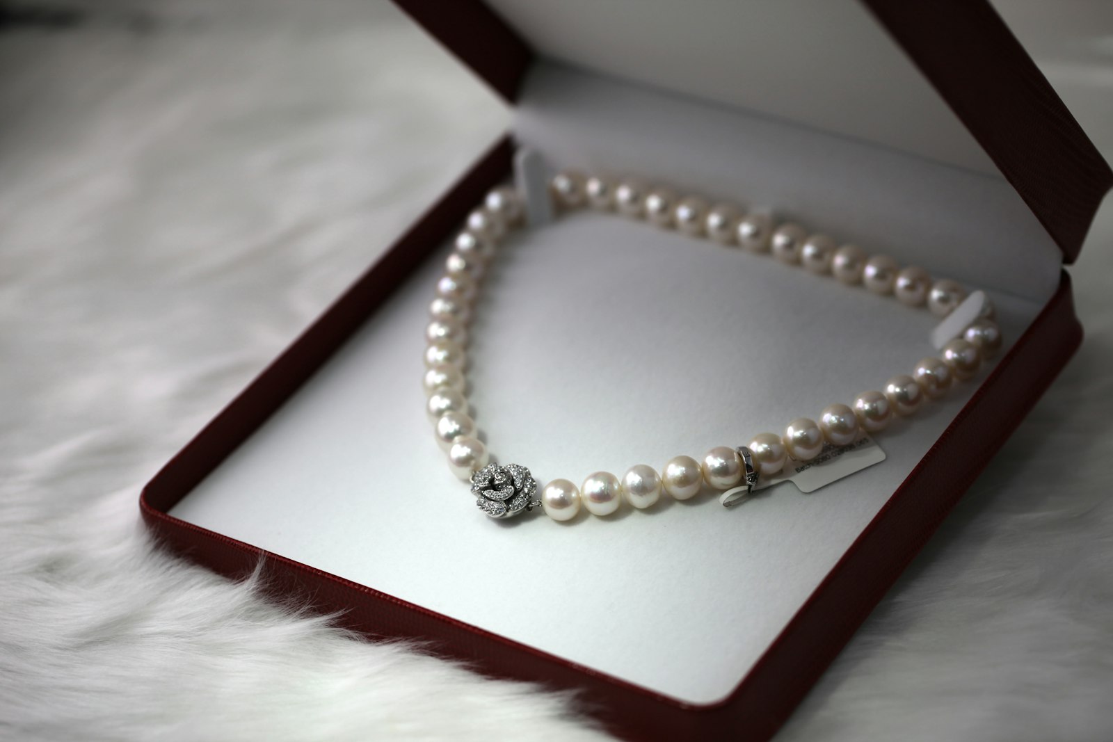 Timeless Elegance in Every Design