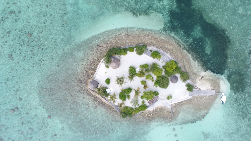 aerial view of islet with trees