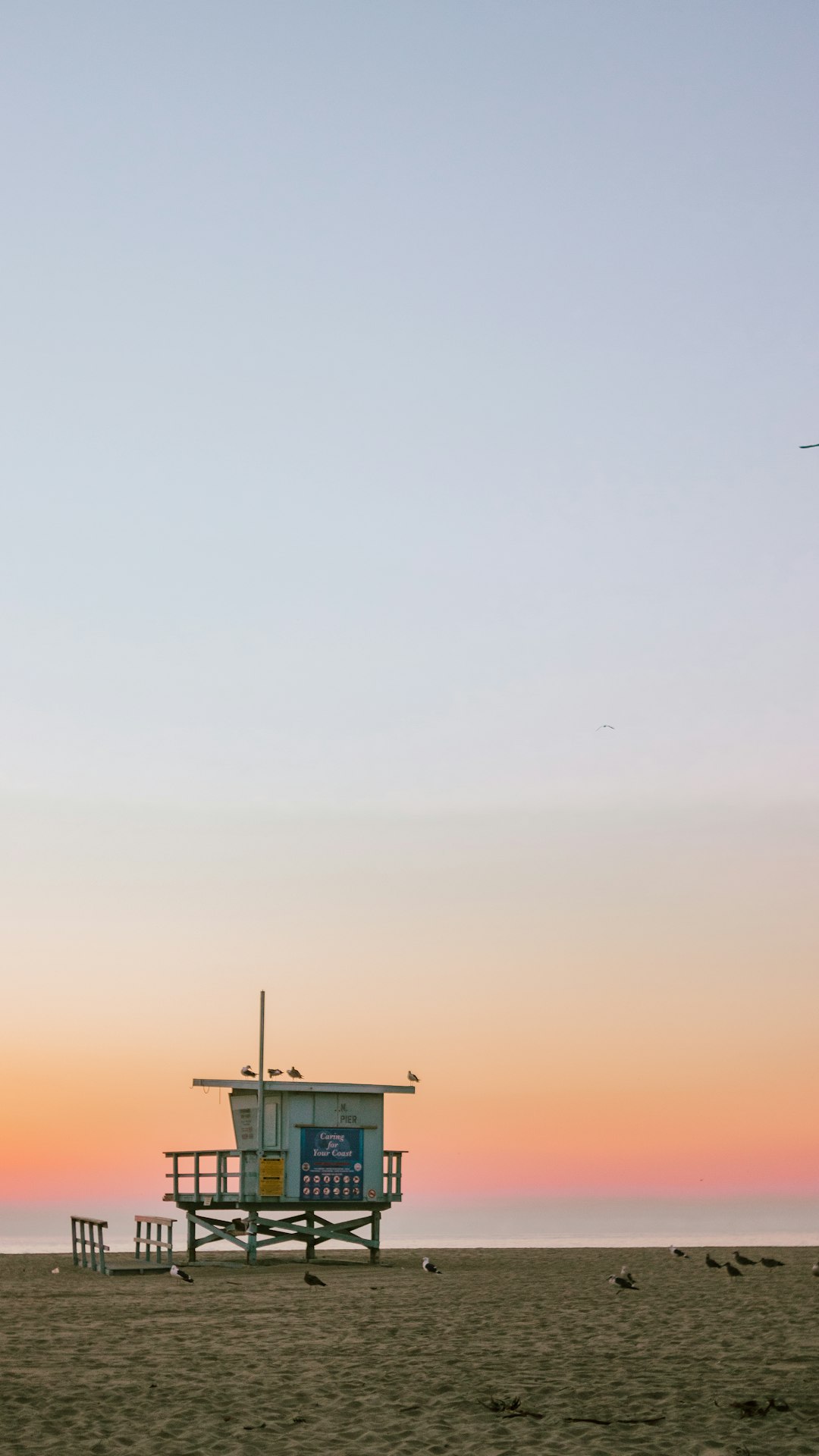 Beach photo spot Venice Beach Pine